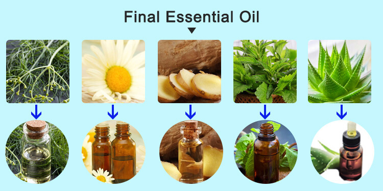 Essential Oil Extraction