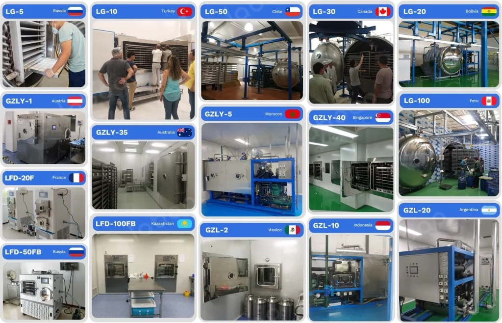 freeze drying equipment customer case