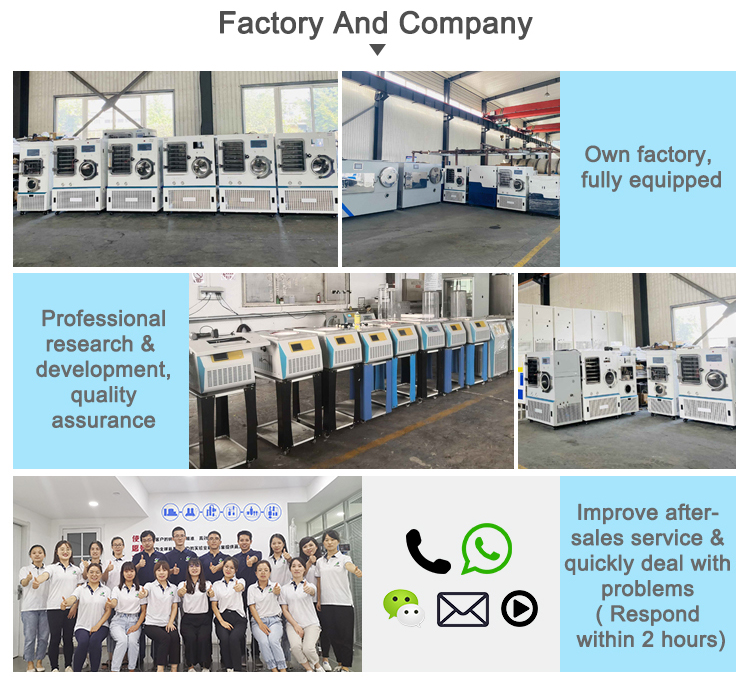 TOPT-10 freeze dryer factory