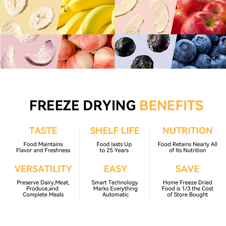 FREEZE DRYER 