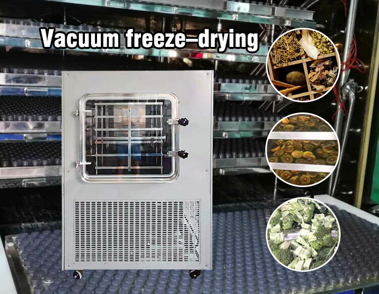 freeze dryer vacuum pressure