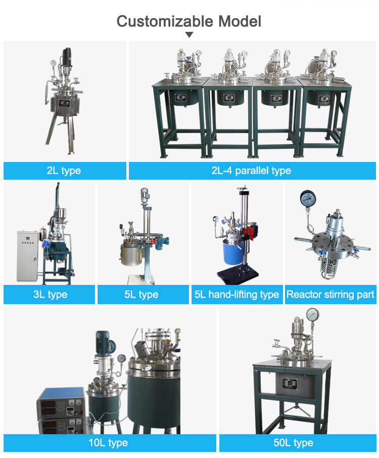 Magnetic Stirrer High Pressure Reactor;