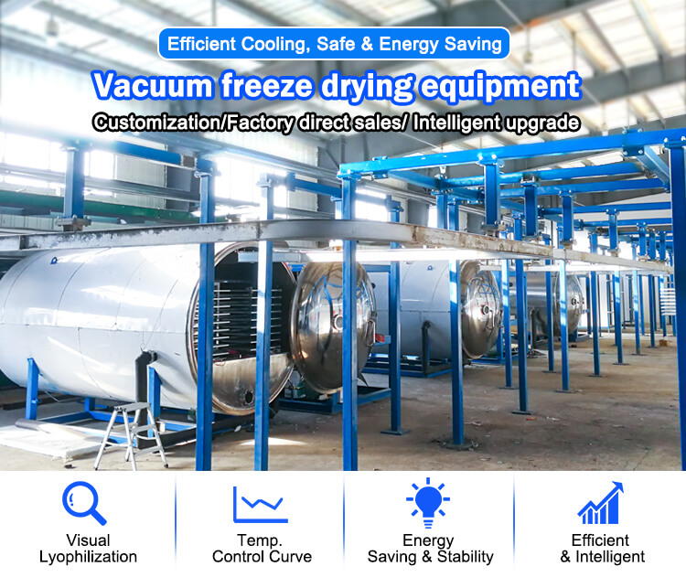 pharmaceutical freeze dryer;