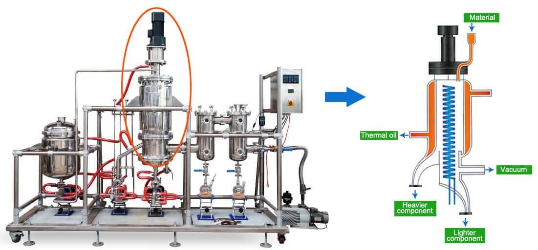 short path molecular distillation