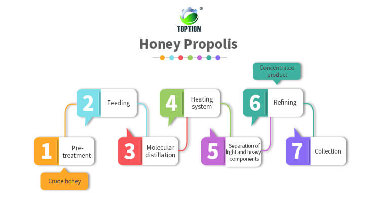 Purification of Honey Propolis