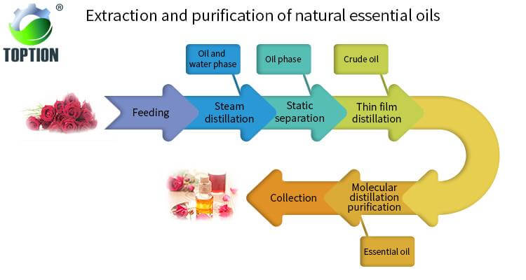 molecular distillation