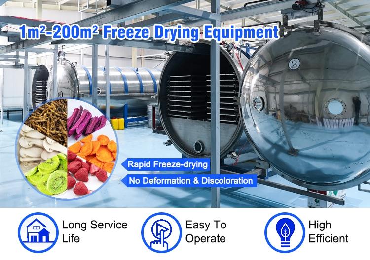 vacuum freeze dryer