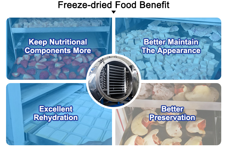 freeze dryer