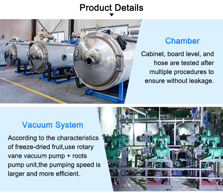 vacuum freeze dryer