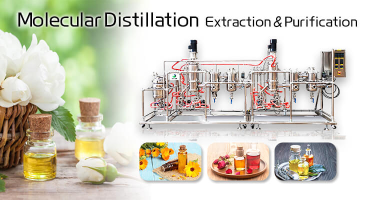 molecular distillation